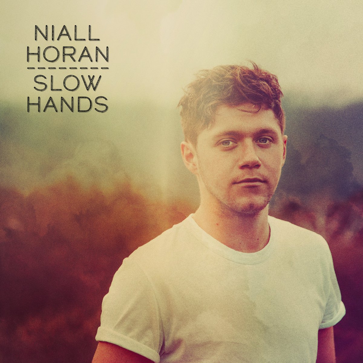 دانلود آهنگ جدید Niall Horan به نام Slow Hands